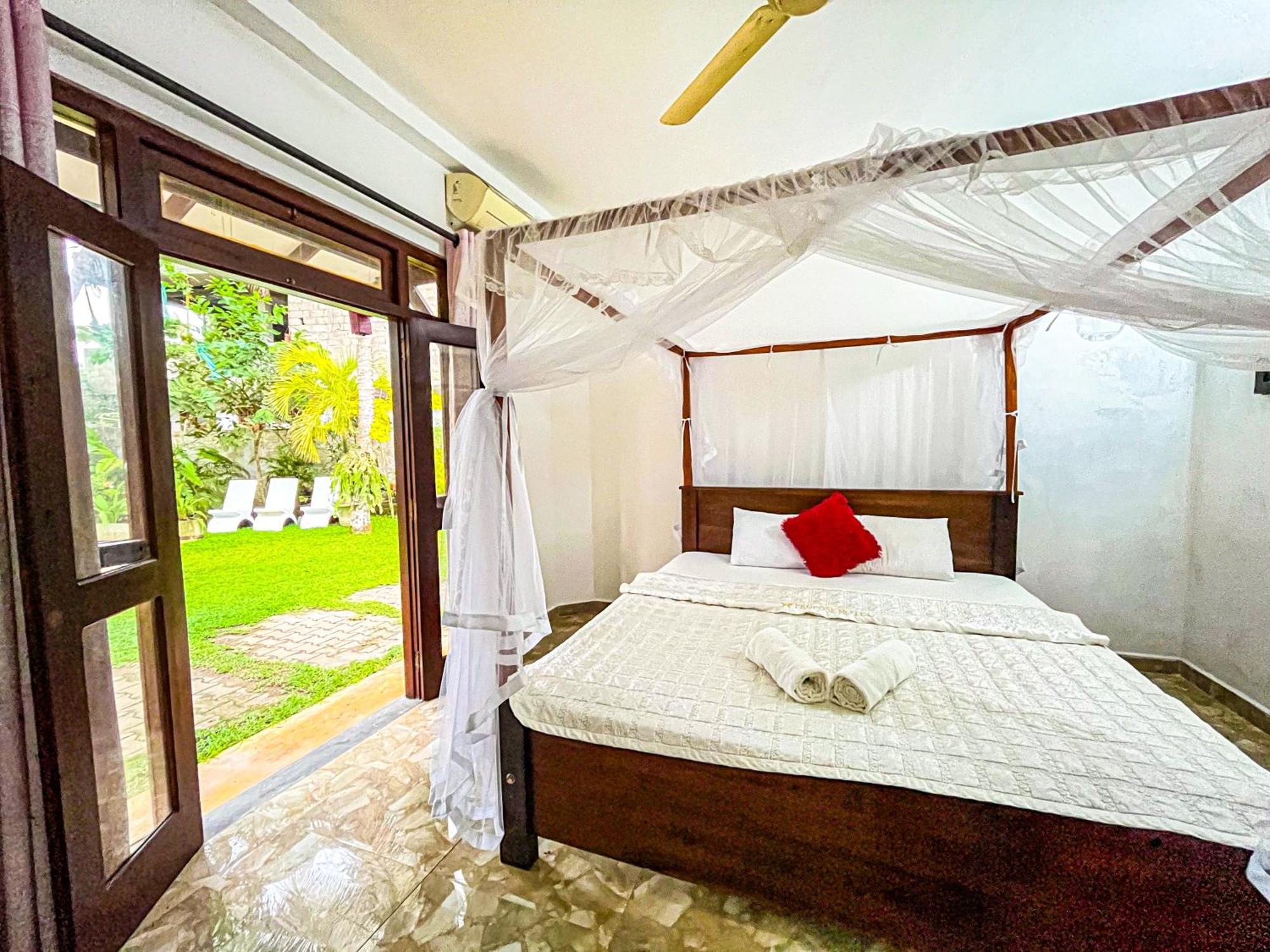 Galle Camellia Extérieur photo