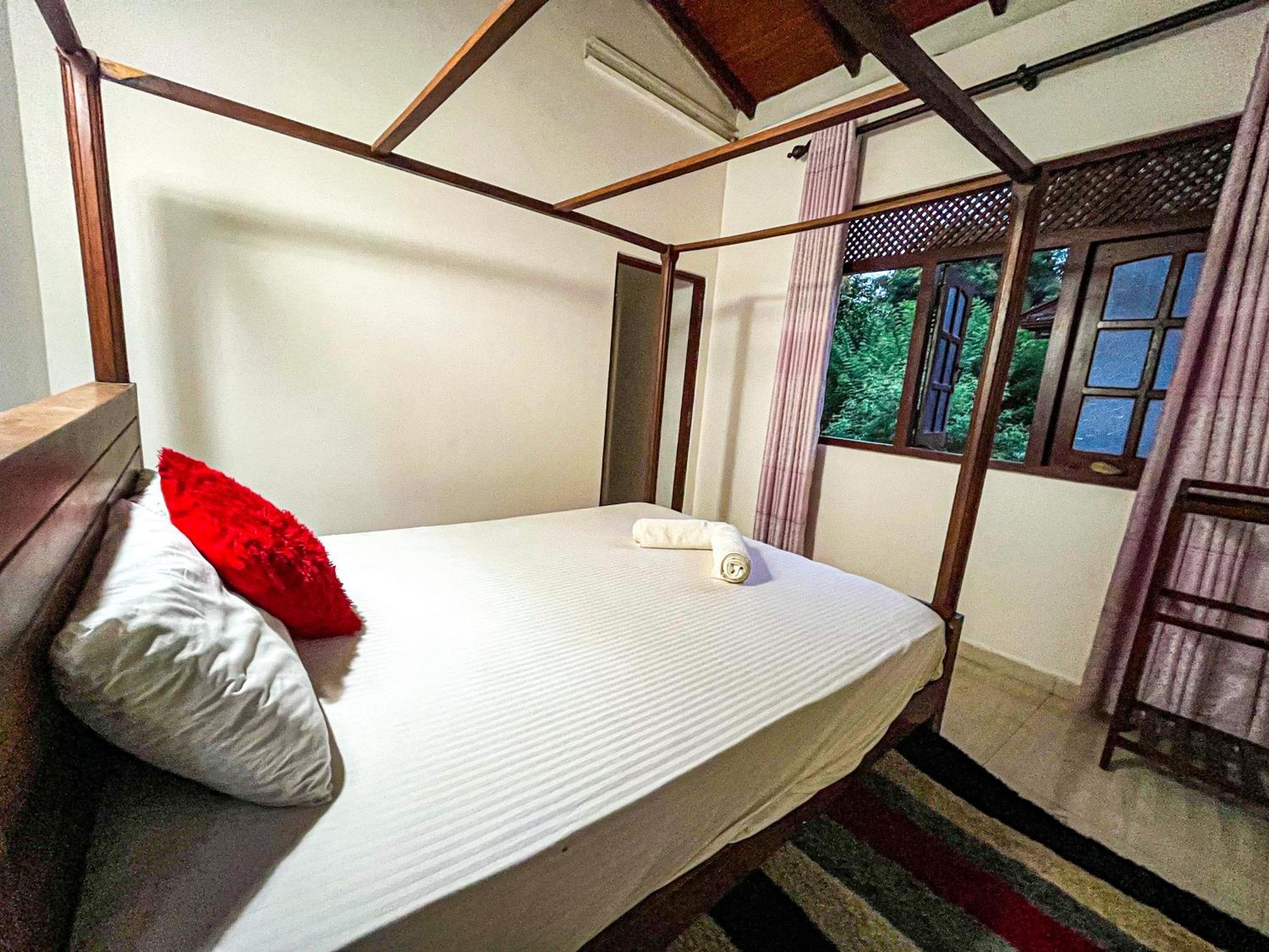 Galle Camellia Chambre photo