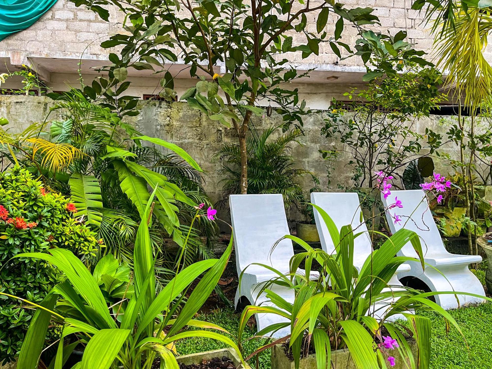 Galle Camellia Extérieur photo