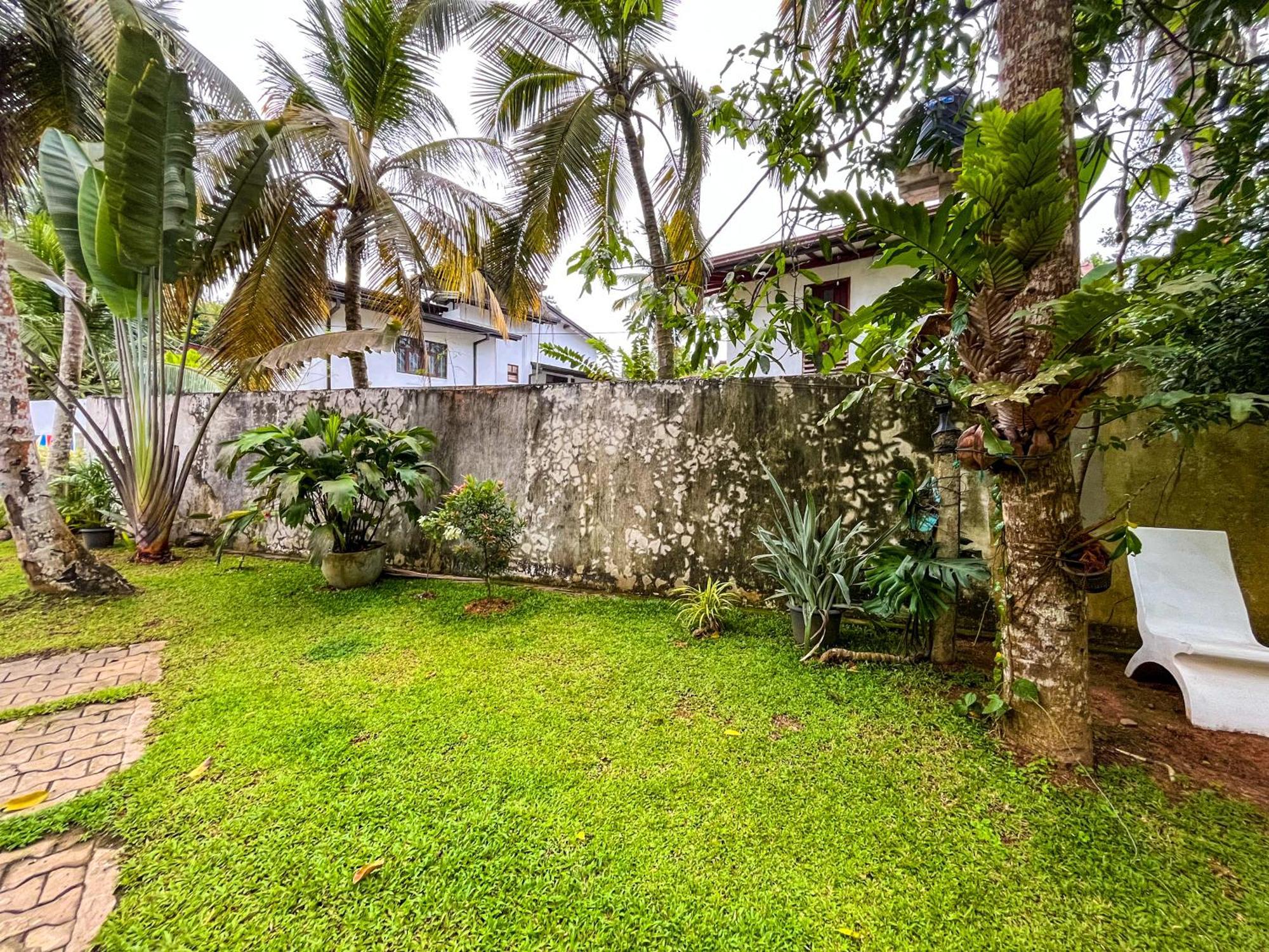Galle Camellia Extérieur photo