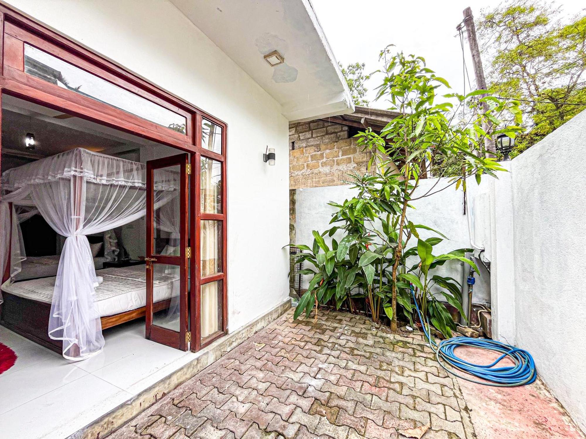 Galle Camellia Extérieur photo